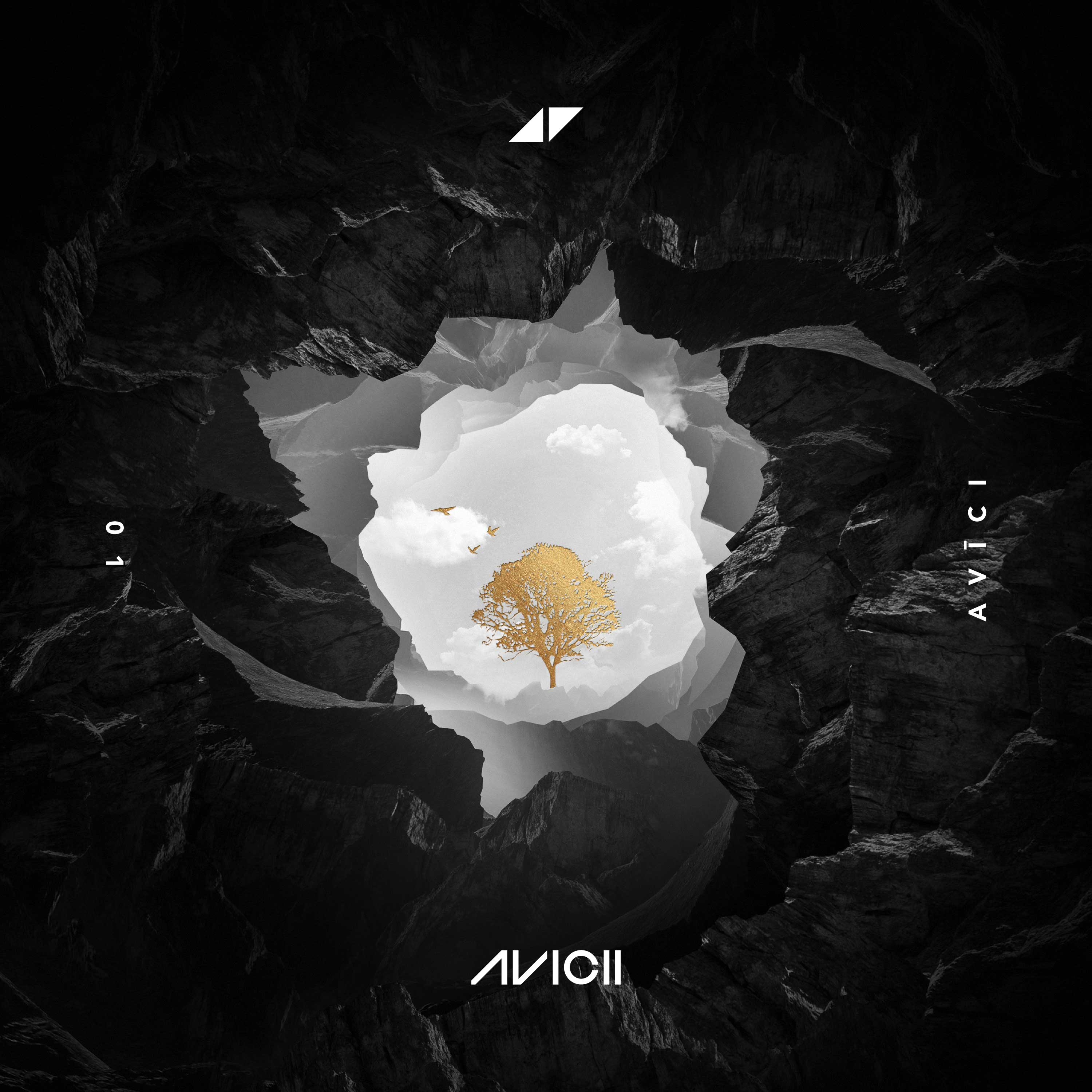 AVICII FM #001